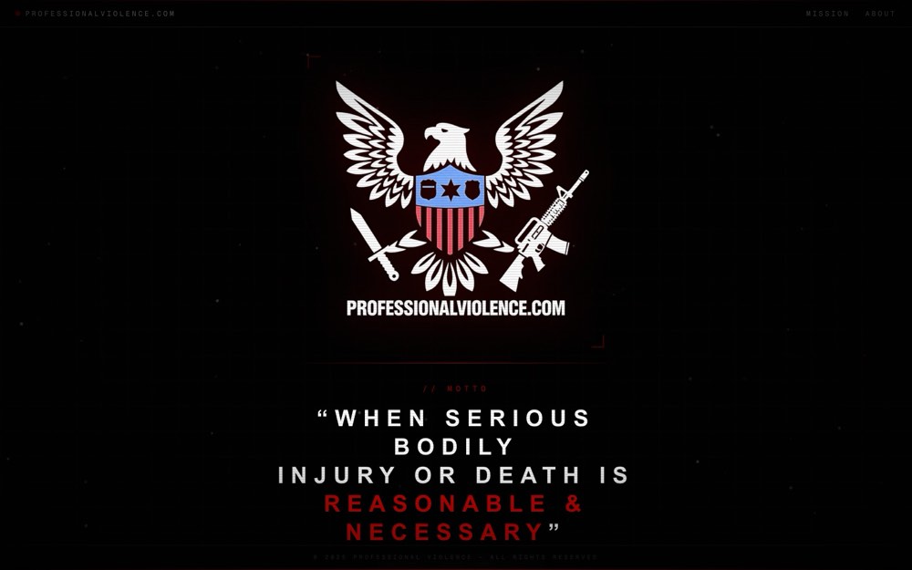 Professional Violence website